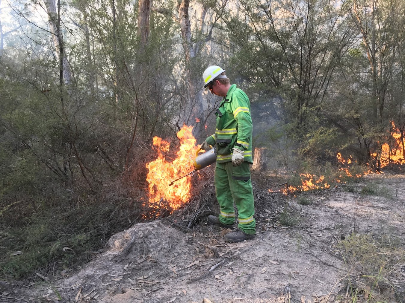 Controlled burning (credit Forest Fire Management Vic)